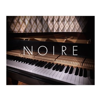 وی اس تی نیتیو اینسترومنتز Native Instruments Noire