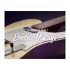 وی اس تی نیتیو اینسترومنتز Native Instruments Session Guitarist - Electric Vintage