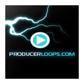 وی اس تی پلاگین پرودوسر لوپس Producer Loops Sample Pack