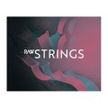 قیمت خرید فروش وی اس تی سادن آدیو Sudden Audio RAW Strings