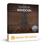 وی اس تی پلاگین  Orange Tree Samples Evolution Mondolin